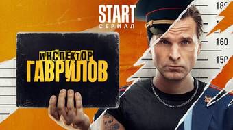 Инспектор Гаврилов: 1 сезон poster